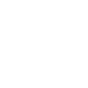 Genmega logo