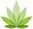 marijuana leaf